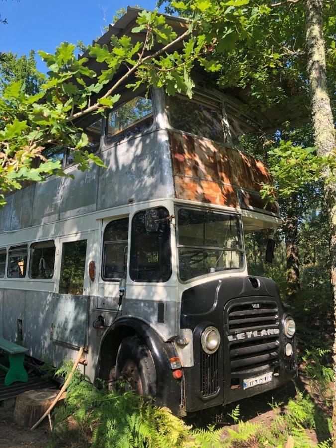 Cosmic English Bus 2 Floor Mimizan-Plage Exteriör bild